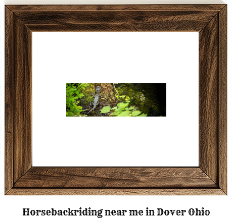 horseback riding near me in Dover, Ohio